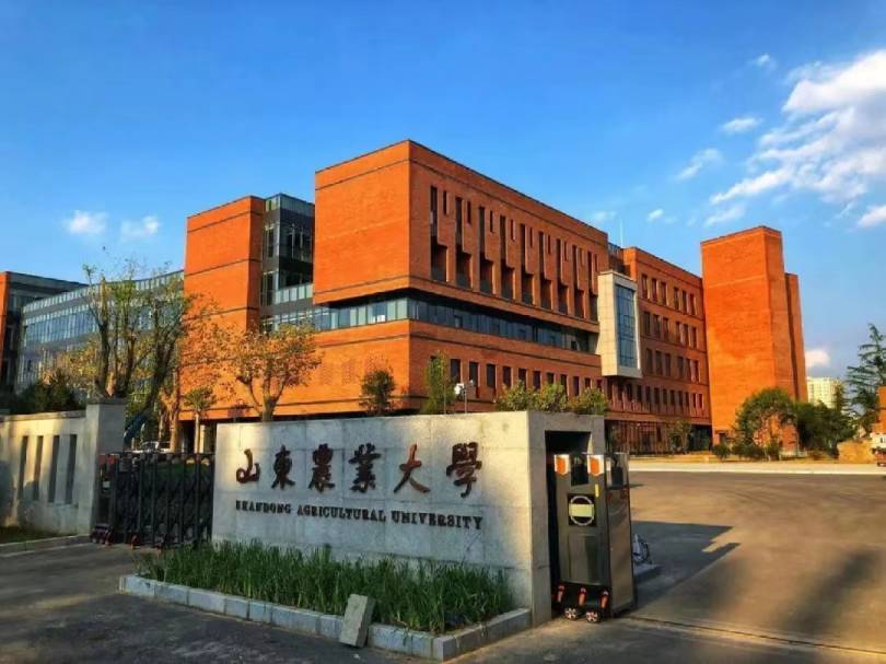 山东农业大学经济管理学院_https://www.xinghuoservice.com_主营业务案例_第1张